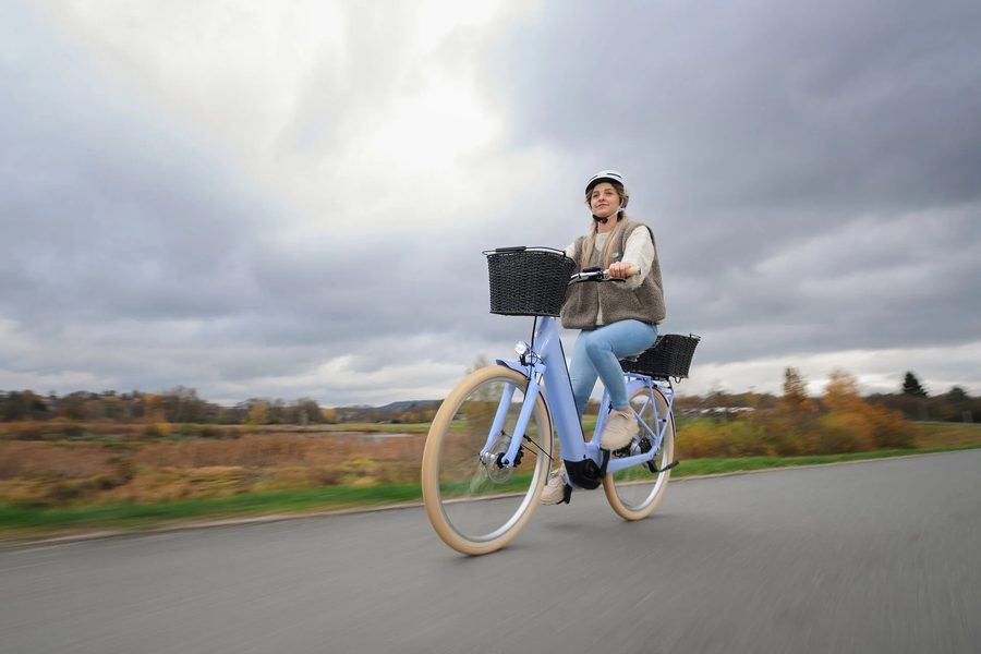 E-Bike City & Urban
