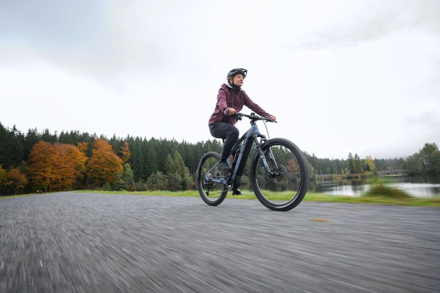 E-Mountainbike Hardtail