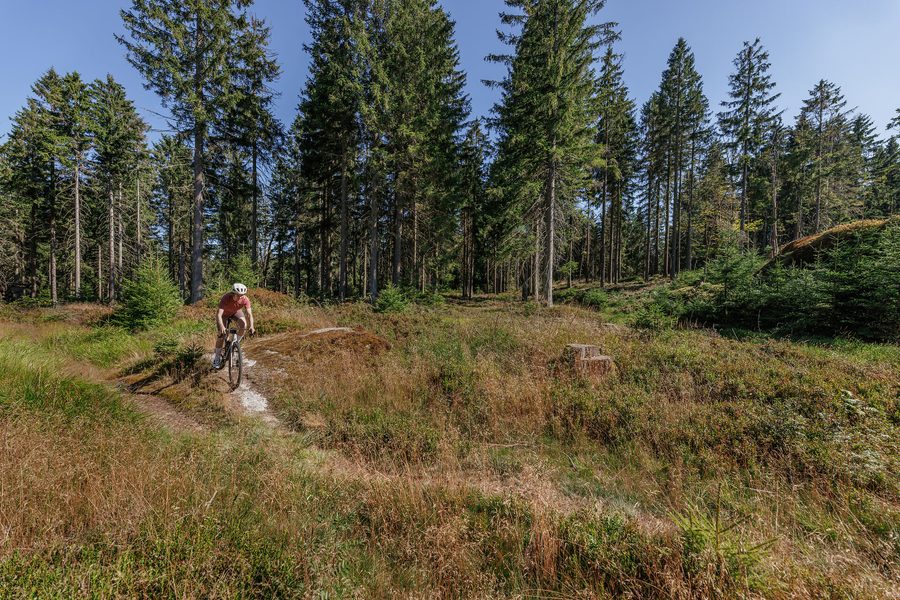 Rennrad, Gravel & Fitness