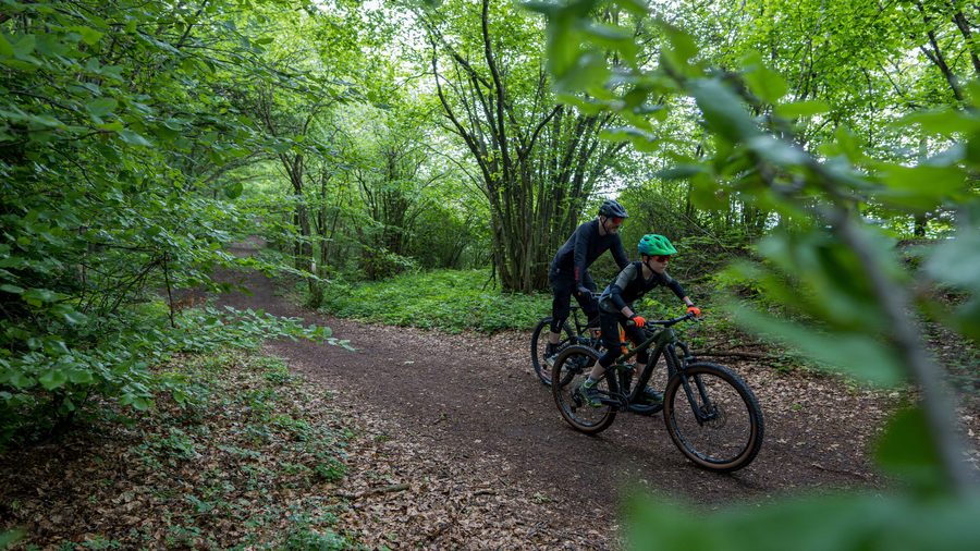 E-Mountainbike